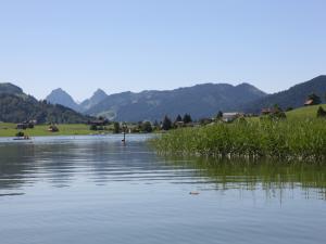 Fischen im Sihlsee