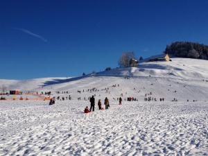 Schlitteln am Friherrenberg