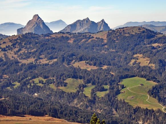 Ausblick auf die Moorwälder der Ibergeregg